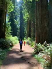 f:id:hitotoshoku:20210809025351j:image f:id:hitotoshoku:20210809025351j:image