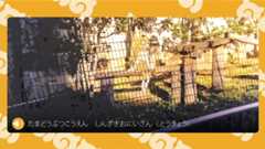 f:id:honeshabri:20170121151616j:plain