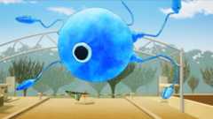 f:id:honeshabri:20170122145247j:plain