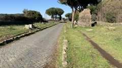 f:id:honeshabri:20200101113929j:plain