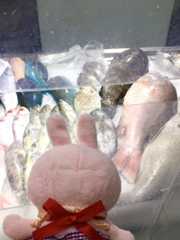 f:id:kanapycebu:20210218113639j:plain