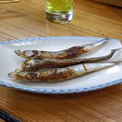 f:id:kjm_nishikawa:20251212171637j:image f:id:kjm_nishikawa:20251212171637j:image