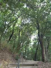 f:id:koemusic:20220830084259j:image f:id:koemusic:20220830084259j:image