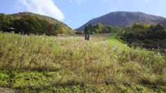 f:id:lele-mmw:20201107223638j:plain f:id:lele-mmw:20201107223638j:plain