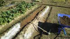 f:id:lele-mmw:20201107224717j:plain f:id:lele-mmw:20201107224717j:plain