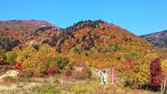 f:id:megumin1120:20201013145548p:plain f:id:megumin1120:20201013145548p:plain