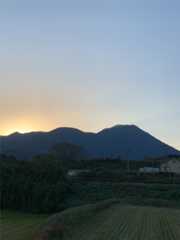 f:id:momo-333:20250103194945j:image f:id:momo-333:20250103194945j:image