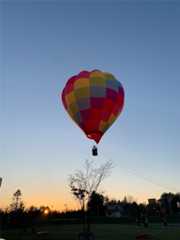 f:id:momo-333:20250209104519j:image f:id:momo-333:20250209104519j:image