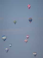 f:id:momo-333:20250209104745j:image f:id:momo-333:20250209104745j:image