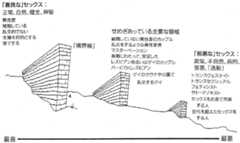 f:id:mtwrmtwr:20170402023027j:plain f:id:mtwrmtwr:20170402023027j:plain