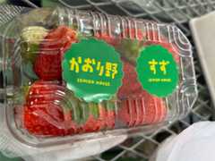 f:id:narutabi:20250209111808j:image f:id:narutabi:20250209111808j:image