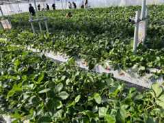 f:id:narutabi:20250209111839j:image f:id:narutabi:20250209111839j:image