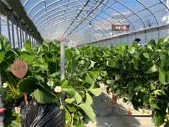 f:id:narutabi:20250209111851j:image f:id:narutabi:20250209111851j:image