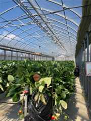 f:id:narutabi:20250209111855j:image f:id:narutabi:20250209111855j:image