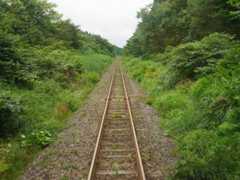 f:id:noririn3103:20200816142617j:plain f:id:noririn3103:20200816142617j:plain