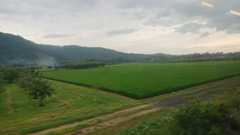 f:id:noririn3103:20200816174353j:plain f:id:noririn3103:20200816174353j:plain