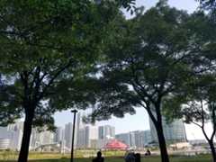 f:id:p_shirokuma:20170520151814j:image f:id:p_shirokuma:20170520151814j:image