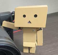 ダンボーの画像