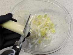 f:id:shinya_gohan:20251210061329j:image f:id:shinya_gohan:20251210061329j:image