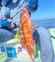 f:id:supemaru:20250722102832j:image f:id:supemaru:20250722102832j:image