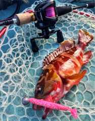 f:id:supemaru:20250722212844j:image f:id:supemaru:20250722212844j:image