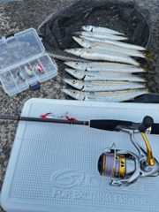 f:id:supemaru:20250901181405j:image f:id:supemaru:20250901181405j:image