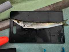 f:id:supemaru:20250901184227j:image f:id:supemaru:20250901184227j:image