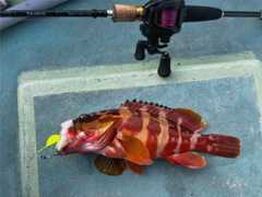 f:id:supemaru:20250908132727j:image f:id:supemaru:20250908132727j:image