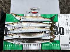 f:id:supemaru:20251013184222j:image f:id:supemaru:20251013184222j:image