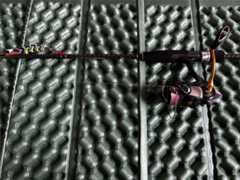 f:id:supemaru:20251019141403j:image f:id:supemaru:20251019141403j:image