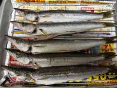 f:id:supemaru:20251101215005j:image f:id:supemaru:20251101215005j:image