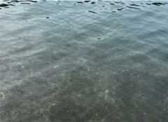 f:id:supemaru:20251102134311j:image f:id:supemaru:20251102134311j:image