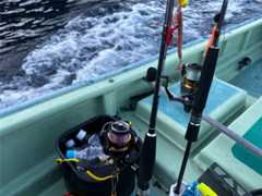 f:id:supemaru:20251116123622j:image f:id:supemaru:20251116123622j:image