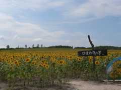 f:id:sword749:20210807224031j:plain