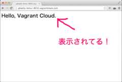 Vagrant Share Result Vagrant Share Result