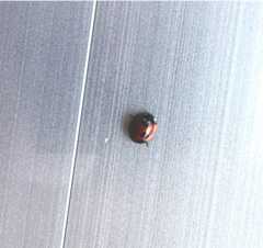 f:id:to-many-hopes:20221108152049j:image f:id:to-many-hopes:20221108152049j:image