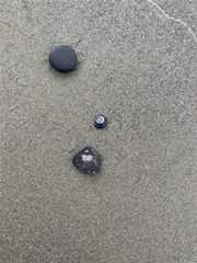 f:id:triphug:20240731115604j:image f:id:triphug:20240731115604j:image