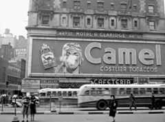 Camel billboard in Times Square