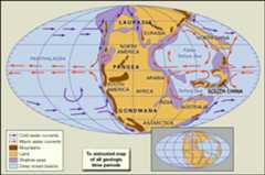 Pangea: Early Triassic Period