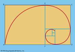 Golden rectangles and the logarithmic spiral