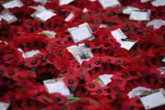 fury council cancels remembrance sunday parade