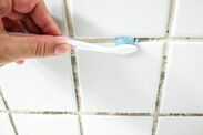 Bathroom grout will be free of 'stubborn' stains when wiped with 1 natural ingredient