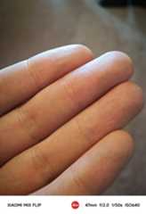 A photo captured on the Xiaomi Mix Flip