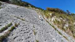 Wall side of a hill will hundreds of thousands of indentations that are prints from an ancient sea turtle stampede.
