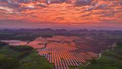 An aerial view of an agrivoltaic farm in Hechi city, China, on October 25, 2025.