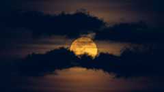 A yellow full moon is pictured glowing in a dark night sky between two worm-like bands of dark clouds.