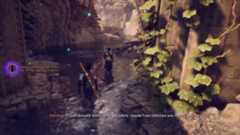 Rook and Harding walk through the forest together while a popup explains that Harding is nervous to convince me that her magic isn't dangerous.