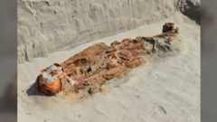 a human skeleton partially excavated from light colored sandy soil