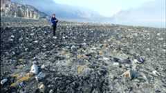 a person stands amid a rocky beach in the Arctic