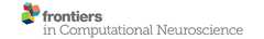 Frontiers in Computational Neuroscience logo